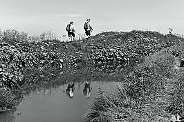 Impressionen (5v9)_t.jpg